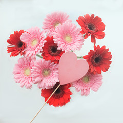 Bouquet of gerberas and a heart on a white background