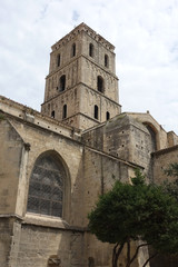 Fototapeta na wymiar Cathédrale du cloître Saint-Trophime à Arles