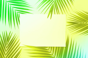 Tropical palm leaves in trendy neon colors. Rainbow gradient background. Copy space with paper card note. Minimal summer concept. Creative layout. Top view, flat lay.