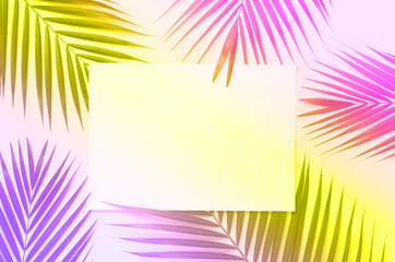 Fototapeta na wymiar Tropical palm leaves in trendy neon colors. Rainbow gradient background. Copy space with paper card note. Minimal summer concept. Creative layout. Top view, flat lay.
