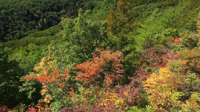 View of Mount Otake during eruption, Kiso, Nagano