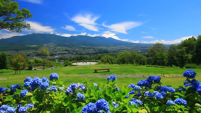 View of flowers and mountains,  Ueda&nbsp;City,  Nagano&nbsp;Prefecture