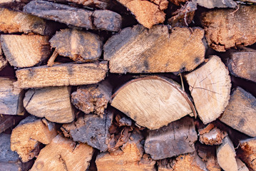wet wood in the woodpile