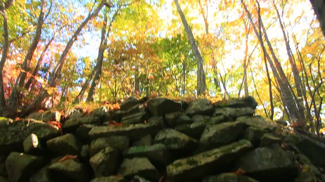 Castle ruins in forest,  Ueda,  Japan