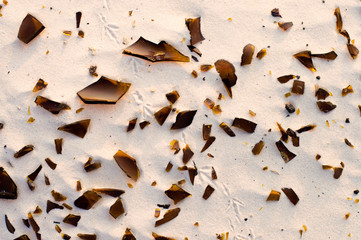 broken glass mixed with sand