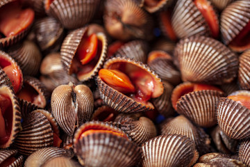 Fresh raw sea cockles clams at seafood market