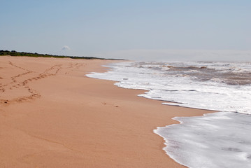 Beach photographed in Guarapari, Espirito Santo. Southeast of Brazil. Atlantic Forest Biome. Picture made in 2007.