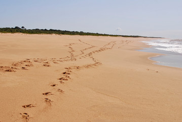 Beach photographed in Guarapari, Espirito Santo. Southeast of Brazil. Atlantic Forest Biome. Picture made in 2007.