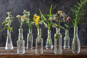 Yarrow, St. John's wort, oregano, horsetail, nettle, bedstraw, comfrey and clover