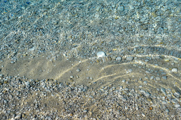 Clear sea water texture, top view of the rocky bottom. Transparent tropical ocean, coral reefs, abstract emerald water surface background