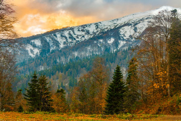 the landscape of the mountains of the North Caucasus are covered with snow and the forests at their base in late fall