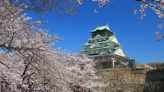 Panning shot of Osaka Castle and cherry blossom,  Japan
