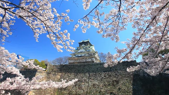 Osaka Castle in spring,  Osaka City,  Osaka Prefecture,  Japan