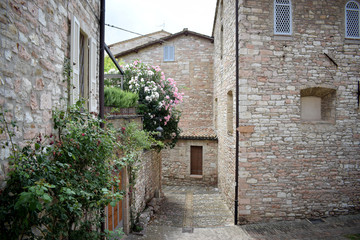 Stradina con fiori nella città medievale italiana di Assisi, Umbria