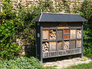 Maison des insectes