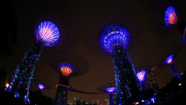 Panning shot of OCBC Garden Rhapsody at night,  Singapore