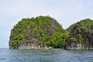 Rock covered by jungle vegetation by the sea on Caramoan Island, Philippines