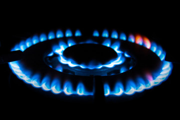 Gas stove blue flame on the black background.