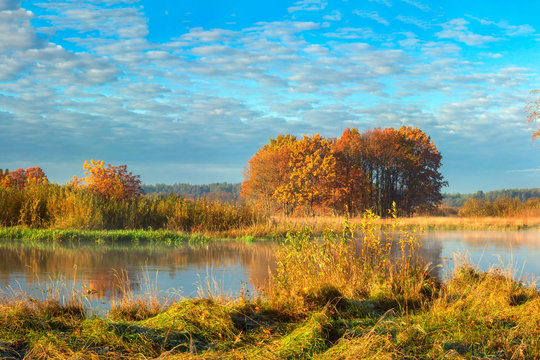 Beautiful autumn landscape. Scenery golden nature on river. Amazing Fall. © dzmitrock87