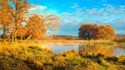 Fototapeta na wymiar Autumn landscape on sunny day. Bright golden nature on river side in october. Fall. Beautiful view on river at autumn