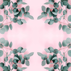 Fototapety  Liście eukaliptusa na pastelowym różowym tle. Rama wykonana z gałęzi eukaliptusa. Płaski układanie, widok z góry, kopia przestrzeń, kwadrat