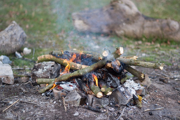 A small campfire made up of twigs and branches with rocks surrounding it