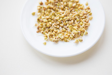 sprouted buckwheat grains on a plate, healthy food, fitness, sports, diet