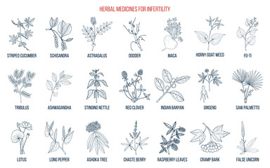 Fototapeta na wymiar Best herbs for infertility