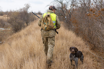 Hunter with a german drathaar and spaniel, pigeon hunting with dogs in reflective vests	