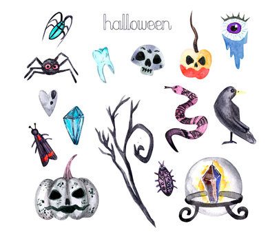 Watercolor Halloween clipart. Hand painted pumpkins,eyeballs, bat, poison, cauldron, skull, raven,spider,snake, insects, apple, crystal, bats and floral branch isolated on white background