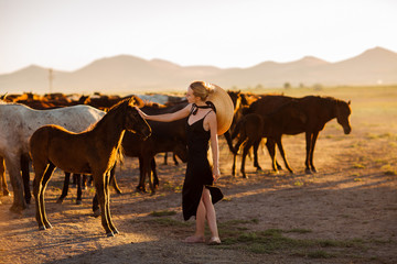 Fototapeta na wymiar Woman in a black dress among wild horses in Turkey