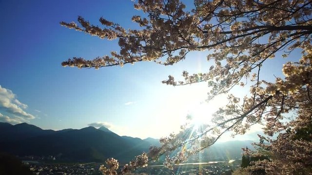 View of blooming trees and mountains,  Nagano&nbsp;Prefecture,  Chikuma&nbsp;City
