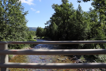 bridge over the river