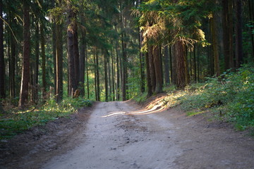 Europe, Lithuania, Vistytis regional park, dusty forest path
