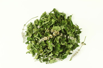 dried mint leaves or mentha piperita leaves herb isolated in white background