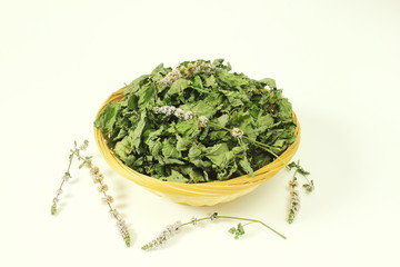 dried mint leaves or mentha piperita leaves herb isolated in white background