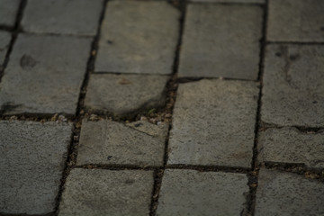 Background or texture from a broken and equal tile with patches of light and drops. Stone blocks on the sidewalk.