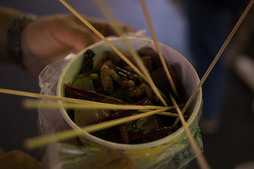 Eating an assortment of insects in Nanning China