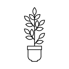 houseplant in pot natural icon