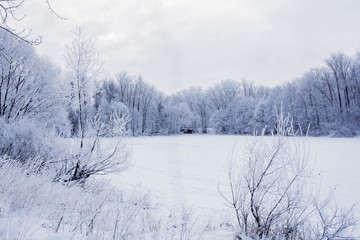 winter lake in the snow