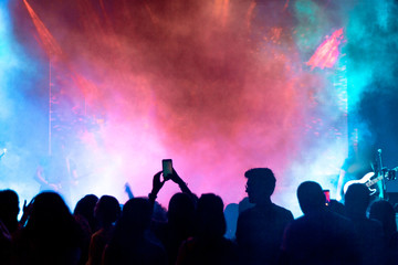 Crowd at a music festival