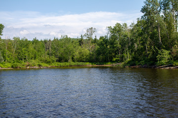 lake in forest