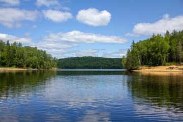 Obraz premium lake in forest with blue sky and clouds