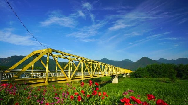 Panning shot of rail bridge over Chikuma river and poppies,  Japan
