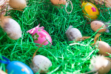 Easter eggs on the green grass.