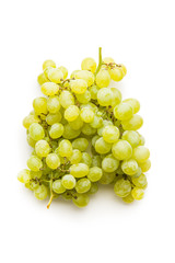 Tasty green grapes. White grape.