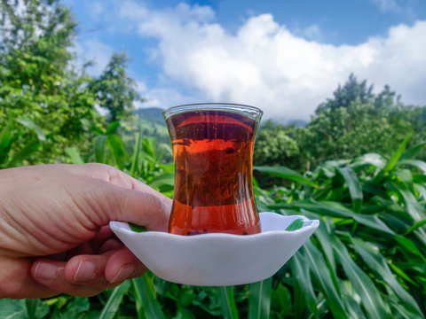Lady drink hot tea in nature held in hand