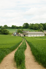 Beautiful green farmland with farm building and leading parallel pathway.