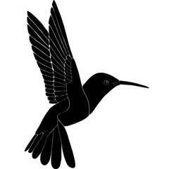Hummingbird silhouette, Kolibri