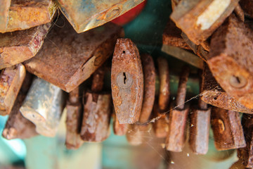 A detail of several old and rusty locks hanging on a handrail on a bridge. 
